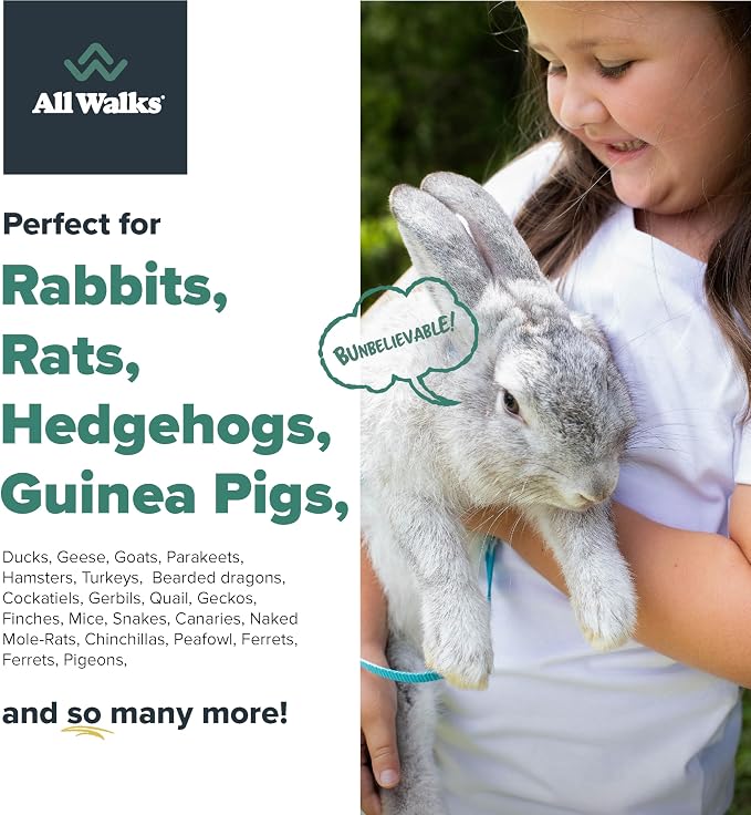 All Walks | Hemp Bedding for Small Animals, 4 x 10L Bags 40L Total (8 LBS) | Low Dust, Odor Control, Highly Absorbent, Natural Cage Bedding for Rabbits, Guinea Pigs, Hamsters, Birds and More