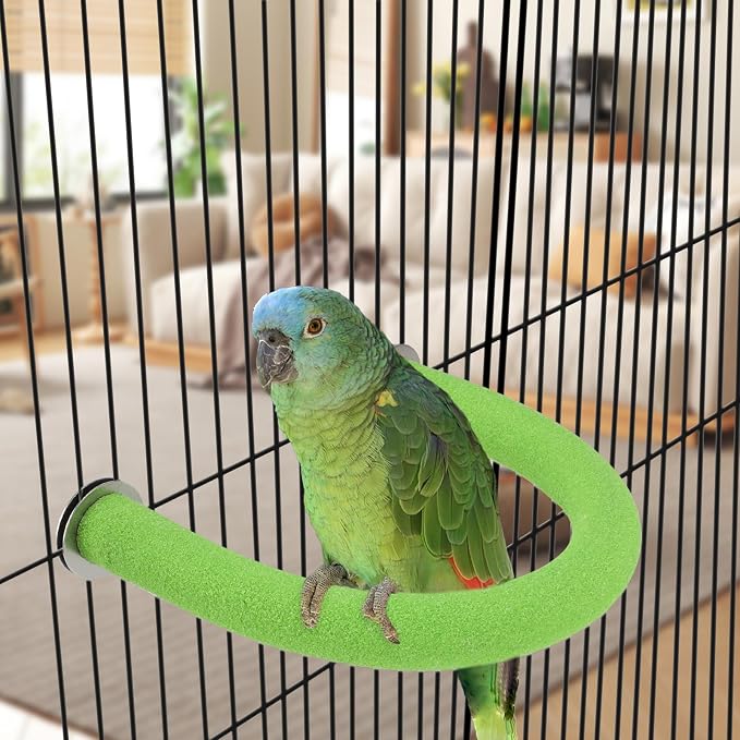 Rypet U-Shaped Large Parrot Perch, Quartz Bird Perch for Cage(Green L) | Safe Chew & Rest Perch for Large Birds, Durable Non-Toxic Cage Accessory, for Parakeets Cockatiels Conures Macaws