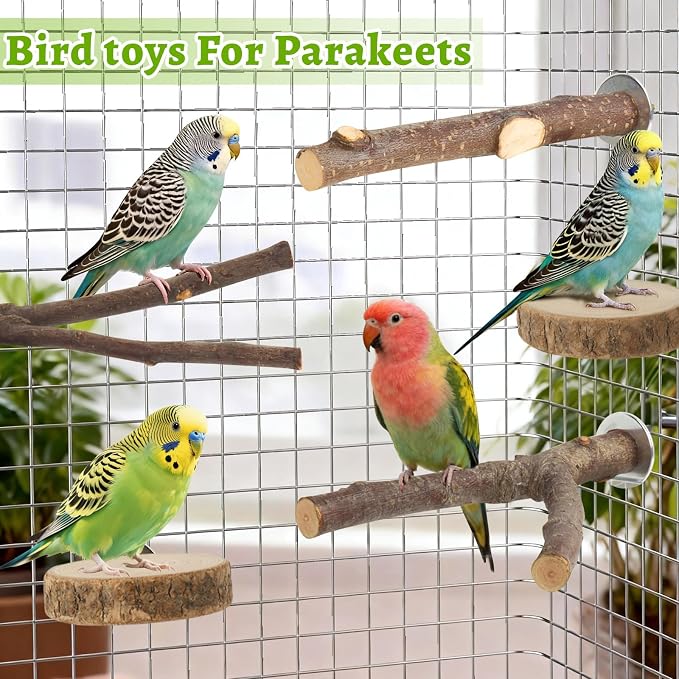 8 Pack Bird Perch, Natural Apple Wood Platforms, Hardwood Branches Cage Accessories for Parakeets, Cockatiels, Lovebirds and Other Small Birds