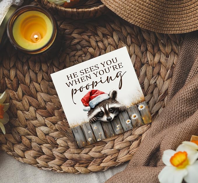 Christmas Raccoon Home Bathroom Decor Sign - Farmhouse Western Christmas Animal Bathroom Decor,Rustic Farm Animal He Sees You When You're Pooping Signs,Raccoon Gifts for Women