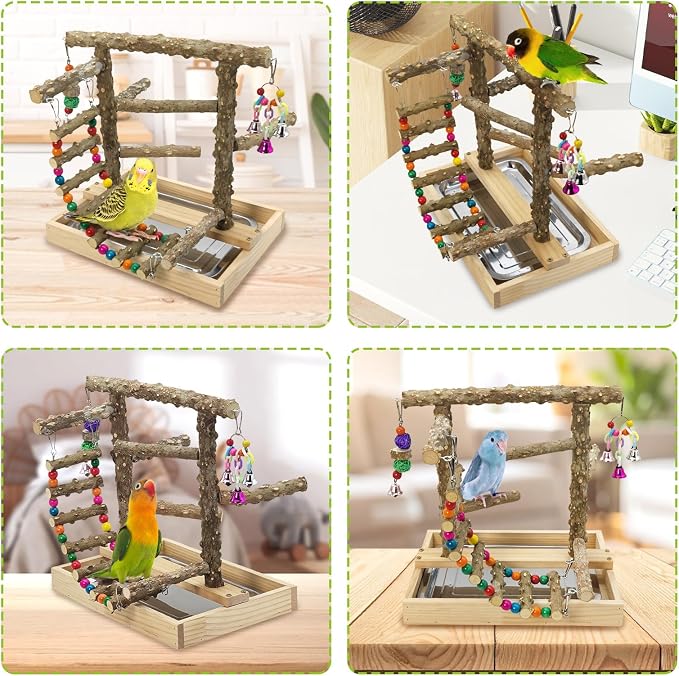 BNOSDM Natural Wood Bird Playground for Training & Playing, Parrot Perch Stand Jungle Gym with Hanging Bridge & Detachable Tray Parakeet Cage Playstand for Budgie, Cockatiel, African Grey
