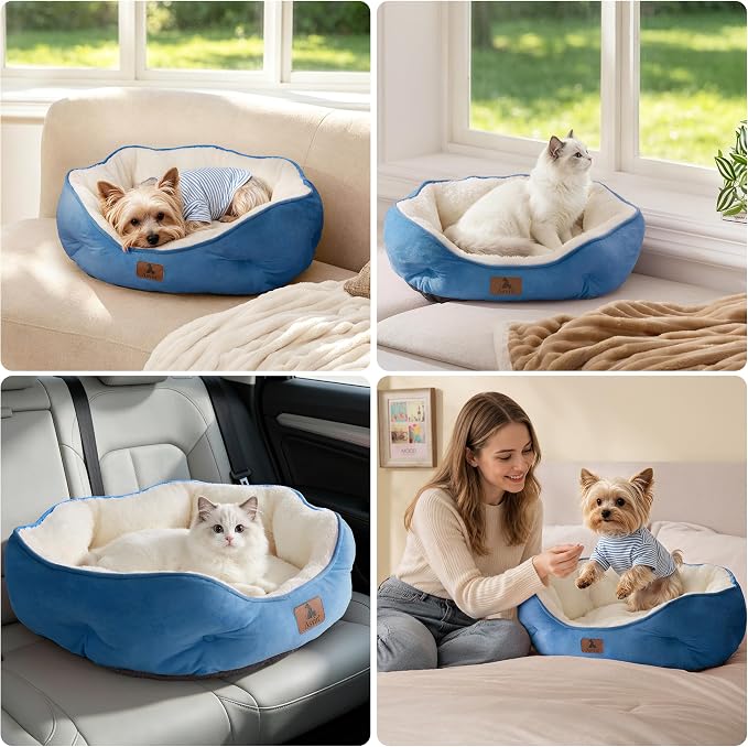 Asvin Medium Dog Bed for Medium Dogs, Cat Beds for Indoor Cats, Pet Bed for Puppy and Kitty, Extra Soft & Machine Washable with Anti-Slip & Water-Resistant Oxford Bottom, Light Blue, 25 inches