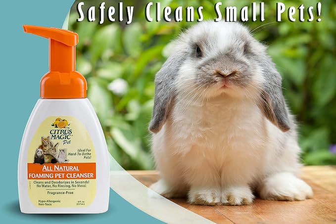 Citrus Magic Pet Rinse-Free Pet Shampoo, 8 Fluid Ounce | Conditions & Deodorizes Coats, Ideal for Dogs, Cats, Ferrets, Hamsters, Rabbits, Kittens