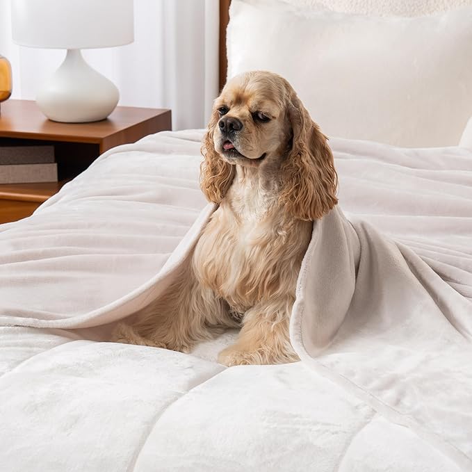 Berkshire Blanket Classic VelvetLoft® Solid Throw Blanket,Lightweight Cozy Flannel Plush Throw Blanket for Bed and Couch,Macadamia,50x60 Inches