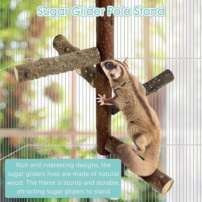 Sugar Glider Toy Natural Fruitwood Perch Stand Squirrel Hanging Wooden Climbing Pole Hamster Paw Grinding Perch Small Animal Cage Accessories for Chinchillas Rats Gerbil