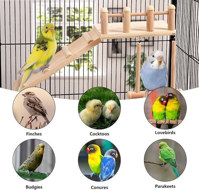 FrgKbTm Bird Perches Platform Swing with Climbing Ladder, Parakeet Cage Accessories Wooden Playing Gyms Exercise Sturdy for Small Birds