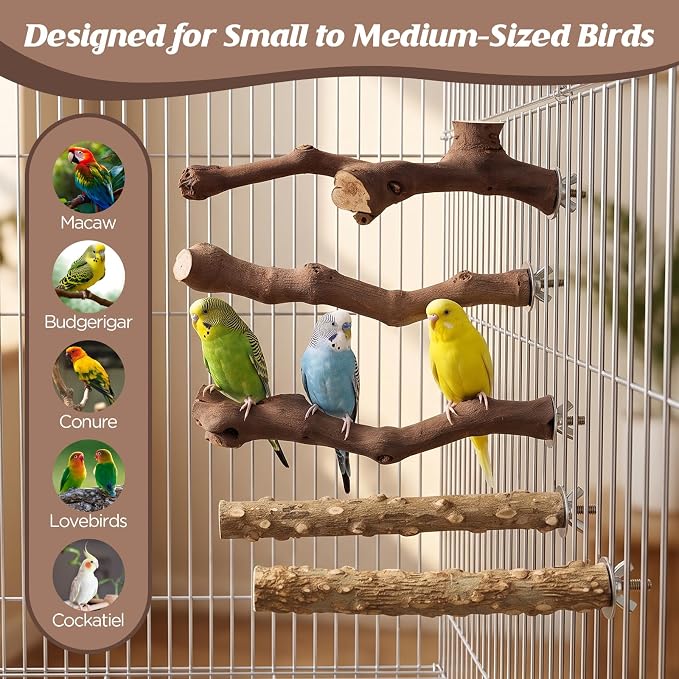 5PCS Bird Perch Stand Natural Wooden Parrot Stand Branch,3 Grape Wood Perch,2 Stand,Paw Grinding Fork Parakeet Chewing Stick Exercise Training Branches for Cockatiels,Small Medium Birds