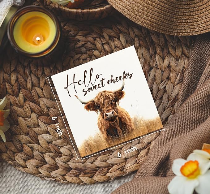 Highland Cow Bathroom Decor Sign, Hello Sweet Cheeks Wooden Box Signs, Highland Cow Gifts For Women Lovers,6x6