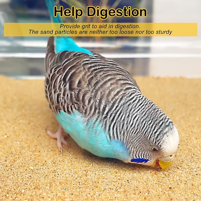 S&X Gravel Paper for Bird Cage 120-Pack 16” x 10” Bird Cage Liners Disposable | Accessories for Parakeets Cockatiels Canaries Finches Conures Easier Cleaning and Bird Health | Thick, flat gravel paper eases cage cleanup – gritty surface helps trim claw...
