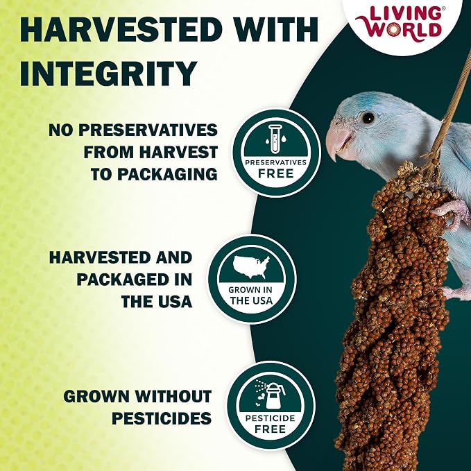 Living World - Millet Spray for Birds, 3.5 Oz | Premium Treat for Budgies, Canaries, Finches, Cockatiels and Other Pet Birds