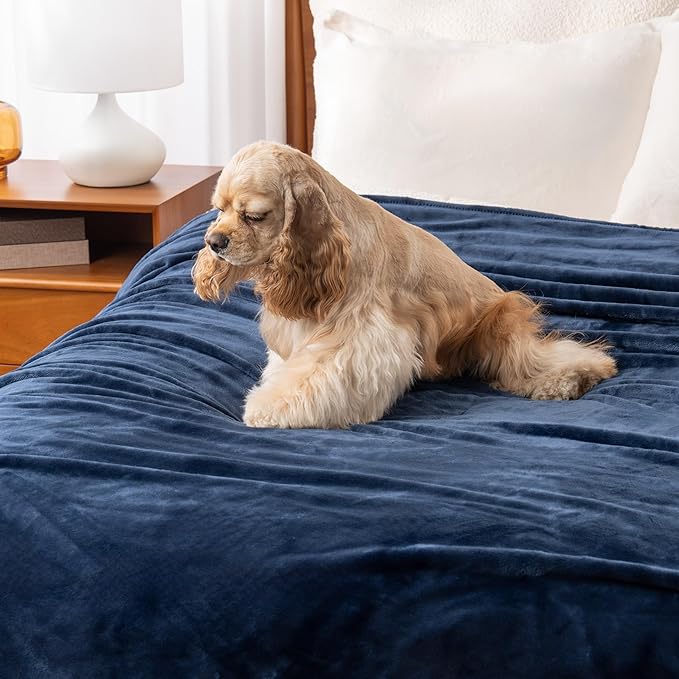 Berkshire Blanket Classic VelvetLoft® Solid Throw Blanket, Lightweight Soft Fuzzy Plush Throw Blanket for Bed and Couch, Dress Blues, 50x60 Inches