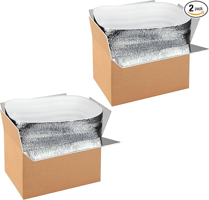 Simple deluxe 2 Pack Insulated Shipping Boxes with Aluminum Foil Liner,Thermal Insulation Cold Pack Shipping Boxes for Frozen, Reusable Styrofoam Cooler Box, Small Mailing Box, 12''x10''x7''