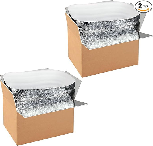Simple deluxe 2 Pack Insulated Shipping Boxes with Aluminum Foil Liner,Thermal Insulation Cold Pack Shipping Boxes for Frozen, Reusable Styrofoam Cooler Box, Small Mailing Box, 12''x10''x7''
