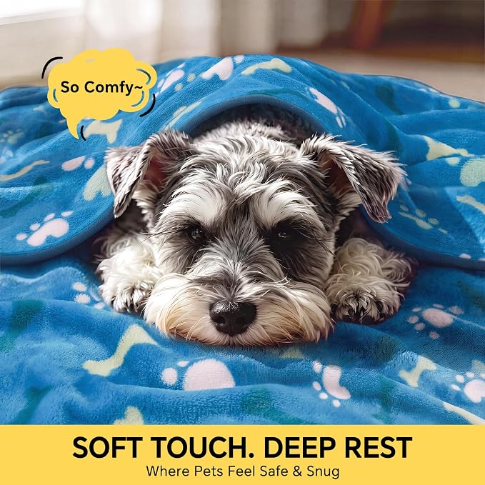 Luciphia 3 Pack Cute Dog Blankets Soft Fleece for Small Puppy Cat,30"x20" | Fuzzy Flannel Small Pet Blanket Washable, Cute Paw Print for Crate Car Bed. Puppy Essential,Cat Stuff Gifts,Medium