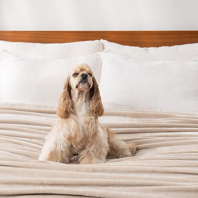 Berkshire Blanket Classic VelvetLoft® Solid Bed Blanket Queen Size, Lightweight Soft Fuzzy Plush Blanket for Bed and Couch, Grain, 90x90 Inches
