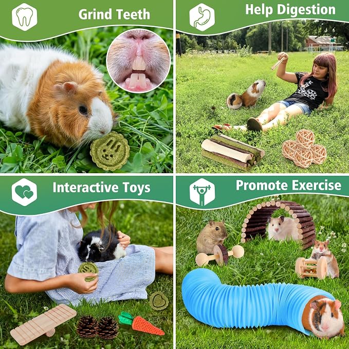 Kyouki Hamster Toys Guinea Pig Toys Set with Tunnel, Chewable Apple Wood & Natural Timothy Hay - Enrichment Chew Toys for Small Animals - 24+ Cage Accessories for Teeth Care & Boredom Relief (Blue)