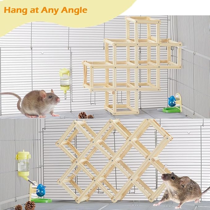 Kiln-Dried Wood Rat Climb Toy, Hanging Cage Ladder Activity (L, 1pc) | Natural Rat Cage Bridge, Multiple Openings & Directional Ramps Offer Challenges to Satisfy Rats' Instincts for Explore & Play