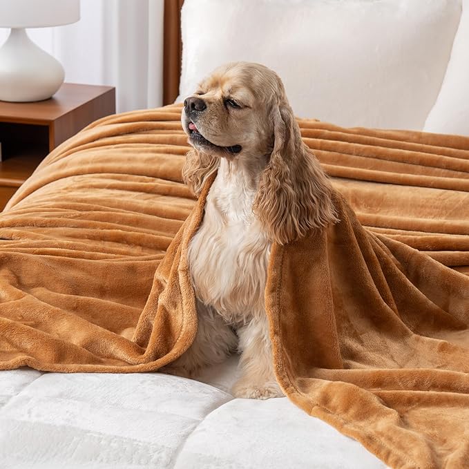 Berkshire Blanket Classic VelvetLoft® Solid Throw Blanket, Lightweight Soft Fuzzy Plush Throw Blanket for Bed and Couch, Butterscotch Orange, 50x60 Inches
