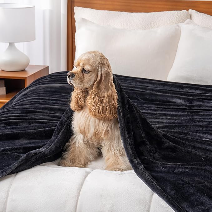 Berkshire Blanket Classic VelvetLoft® Solid Bed Blanket,King Size Bed Blanket,Lightweight Soft Fuzzy Plush Blanket for Bed and Couch,Black,90x108 Inches