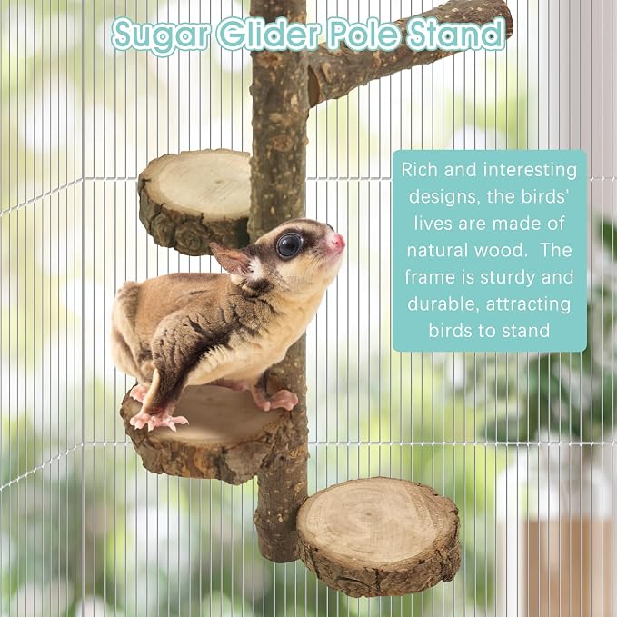 BNOSDM Sugar Glider Toy Natural Fruitwood Round Perch Stand Squirrel Hanging Wooden Climbing Pole Hamster Paw Grinding Perch Small Animal Cage Accessories for Chinchillas Rats Gerbil