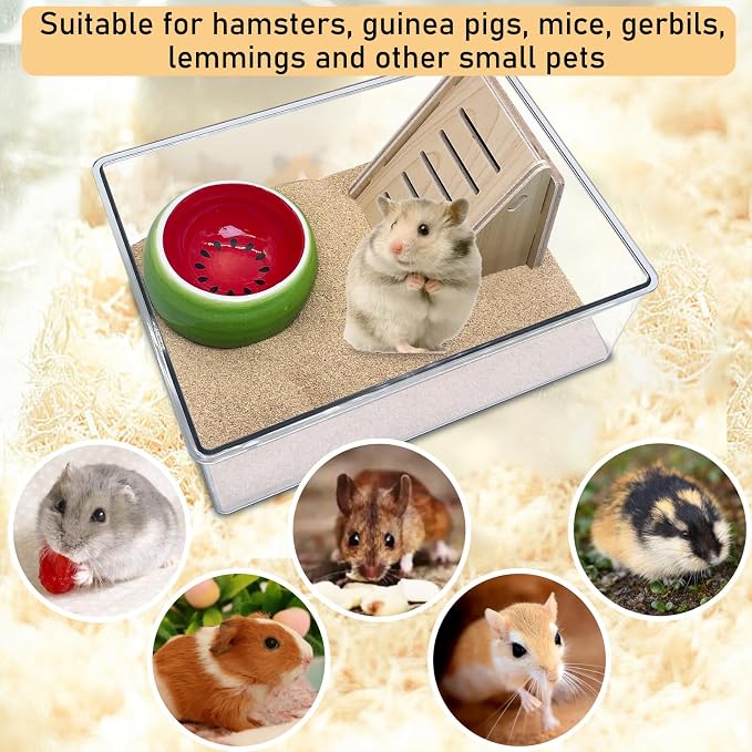 PINVNBY Hamster Sand Bath Box, Transparent Acrylic Shower, Gerbils Digging Room Container with Climbing Ladder and Ceramic Bowl, Litter Box for Hamsters Guinea Pigs Mice (Two Hole)