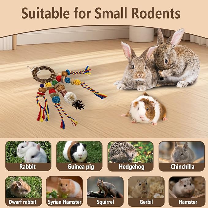 Bunny Chew Treats Toy for Teeth, 2PCS Rabbit Cage Hanging Chew Toys and Rattan Ring with Snack,Natural Material Chinchilla Treats Toys for Guinea Pig Gerbils Hamster Rat Teeth Grinding