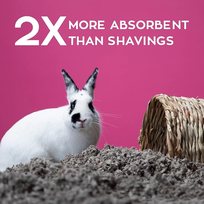 Carefresh Natural Paper Small Pet Bedding, Odor Control 60L | 2X more absorbent, 99% dust free, odor control, Biodegradable and compostable, For hamsters, rabbits and guinea pigs