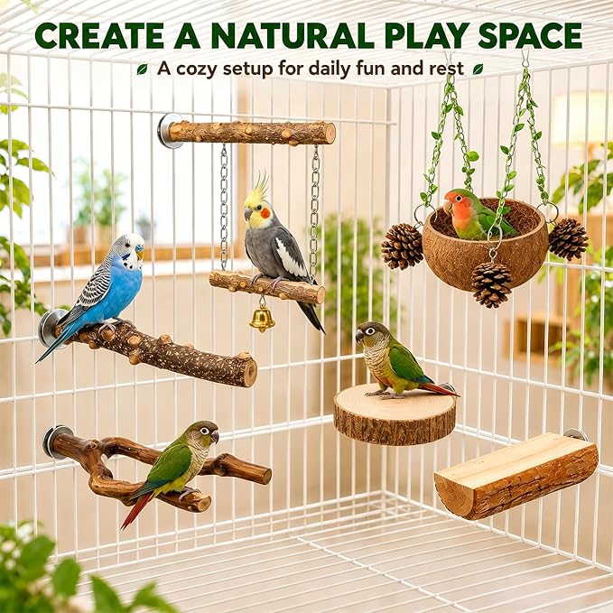 Bird Perch Bird Cage Accessories Parrot Toys Natural Wood 6Pcs Set for Parakeet Cockatiel Conure Lovebird Small Medium Birds