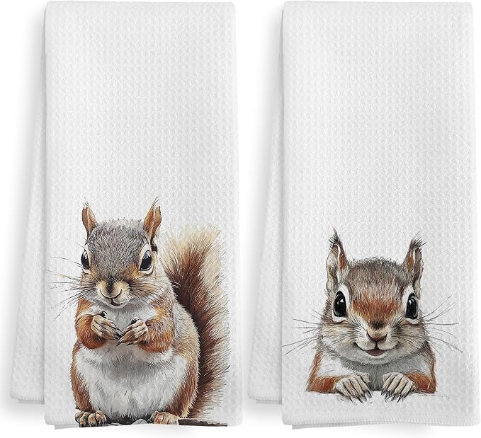 Funny Fall Squirrel Kitchen Towels and Dishcloths Sets of 2, Squirrel Decor Gifts, Woodsy Rustic Cabin Lodge Forest Nursery Home Decor Dish Hand Tea Towels for Bathroom Kitchen, 16x24 Inches