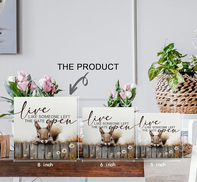 Squirrel Sign - Squirrel Gifts For Women, Live Like Someone Left The Gate Open Wooden Box Signs, Farmhouse Wood Decoration Home Decor For Desk Table Shelf 8x8 Inch Decorative Signs & Plaques