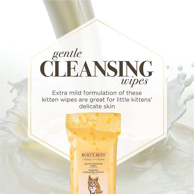 Burts Bees for Pets Kitten Grooming Wipes with Buttermilk, 50 Count | Waterless bath wipes clean face, paws, tail, and coat, gentle alternative to bathing for indoor cats