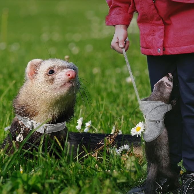 Foaincore 6 Pcs Ferret Clothes Hoodie Sweater Leash Harness Set Grey Red | Soft Hoodie Sweaters with Drawstring, Collar with Bell for Safety, Leash Included, For Guinea Pig Hamster Chinchilla