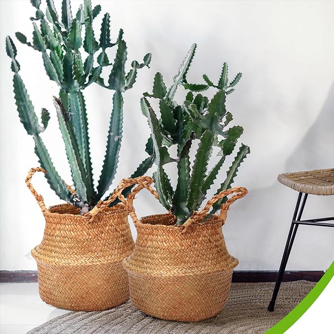 Qunclay 8 Pcs Woven Seagrass Baskets Belly Basket Folding Boho Natural Plant Pot with Handles Round Decorative Wicker Large Indoor Planter for Home Outdoor Tree Planters Decor (11 x 13 Inch)