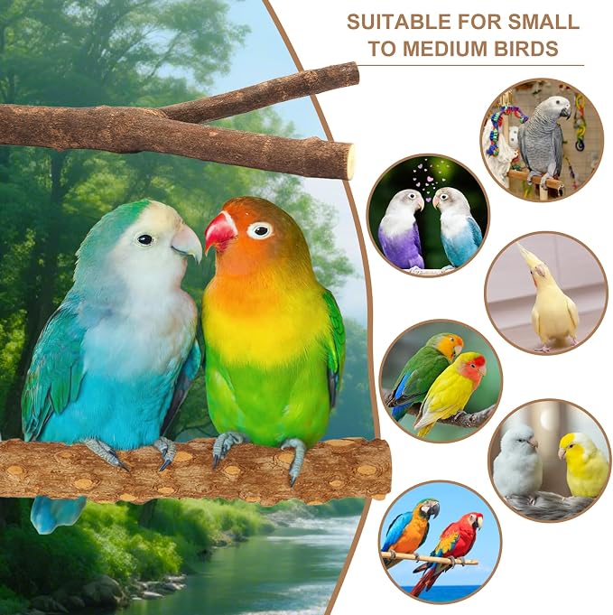 7-Piece Bird Perches for Cage- Wooden Parrot Stand with Fork Toys, Hanging Multi-Branch Platform, Hammock Swing, Gym Playstand & Chewing Toys - for Parakeets, Budgies, Lovebirds - Durable
