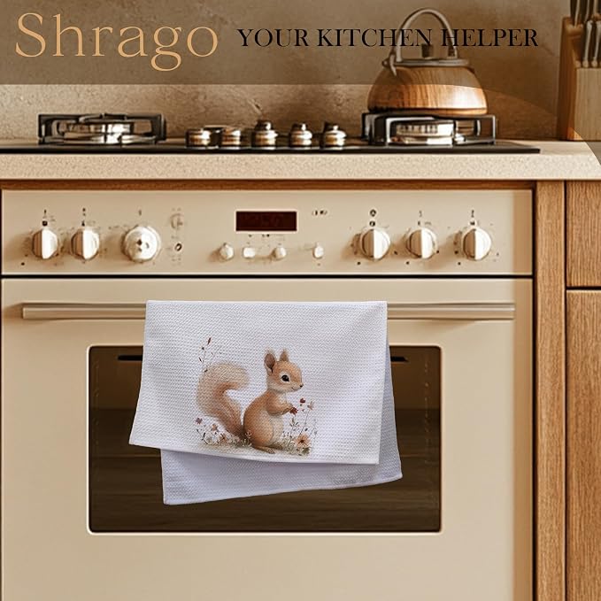 Squirrel Decor Kitchen Towels, Gifts for Squirrel Lovers Dish Tea Towels for Kitchen, Animal Lover Gifts Decorative Hand Towel for Kids Bathroom Decor, 16x24 Inch