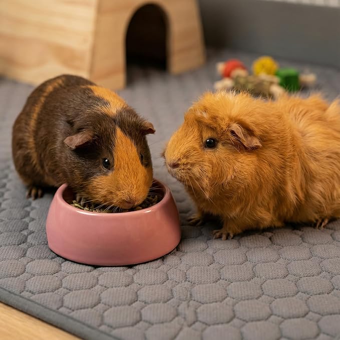 Guinea Pig Cage Liner, 49"x24" Bedding for Midwest Cage 2 Pack, Mushroom | Washable Fleece Bedding, Super Absorbent, Non-Slip, Waterproof Rabbit Mat, Machine Washable, Small Animal Cage Accessory