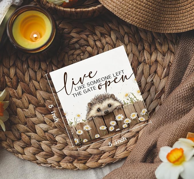 Hedgehog Wooden Box Sign -Rustic Farmhouse Live Like Someone Left the Gate Open Signs for Home Decor, Farm Cottagecore Animal Office Kitchen Bedroom Decor, Hedgehog Gifts for Women, 5x5