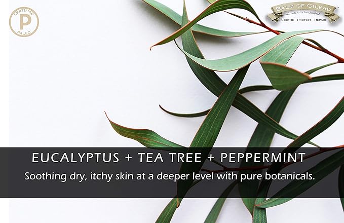 Tea Tree with Eucalyptus Foot Cream - Foot Cream with Tea Tree and Manuka Oil - Intensive Moisture and Healing, Foot Care and Body, Skin Soothing Cream - Softens Skin Irritations, Balm for Eczema