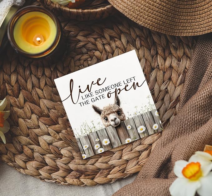 Live like Someone Left the Gate Open Alpaca Wooden Signs,Farm Cottagecore Animal Office Kitchen Bedroom Decor,Rustic Farmhouse Home Decor Signs,Alpaca Gifts for Women