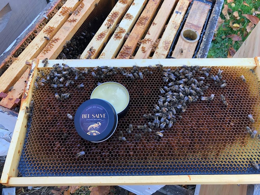 Salve, Hand Salve, Healing Balm, Dry Skin Salve with Beeswax and Propolis, Skin Repair, Moisturizer, All Natural, Planet Bee Apiary ORANGE BLOOSOM BEE SALVE 1 oz