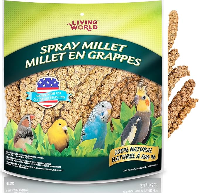 Living World - Millet Spray for Birds, 5 Pounds | Premium Treat for Budgies, Canaries, Finches, Cockatiels and Other Pet Birds
