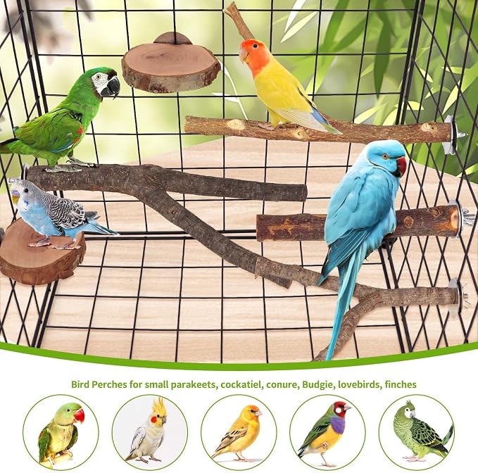 12 Pcs Natural Wood Bird Perch Stand & Platform Set for Cages | Ideal for Small/Medium Birds (Budgies, Conures) | Bark Textures for Foot Health | Tool-Free Wing-Nut | Safe Chewing