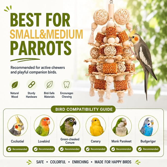 Bird Toys Natural Corn Cob Loofah Chew Toys for Small Medium Parrots | Bird Chew Toys,Cage Accessories,Natural Corn Cob Loofah Slices,for Cockatiels Lovebirds Small&Medium Parrots,Keep Bird Active