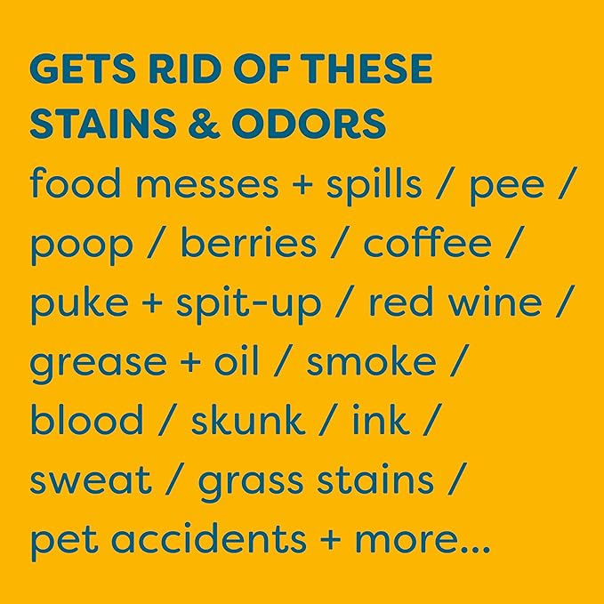 KIDS 'N' PETS Instant All-Purpose Stain & Odor Remover Permanently Eliminates Dog Pee, Cat Urine, Other Smells, Spots from Home Carpet, Couch, Furniture, Mattress, Fabric. Non-Toxic, Child Safe - 27oz