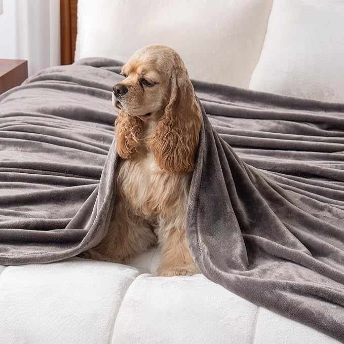 Berkshire Blanket Classic VelvetLoft® Solid Throw Blanket,Lightweight Soft Fuzzy Plush Throw Blanket for Bed and Couch,Charcoal Gray,50x60 Inches