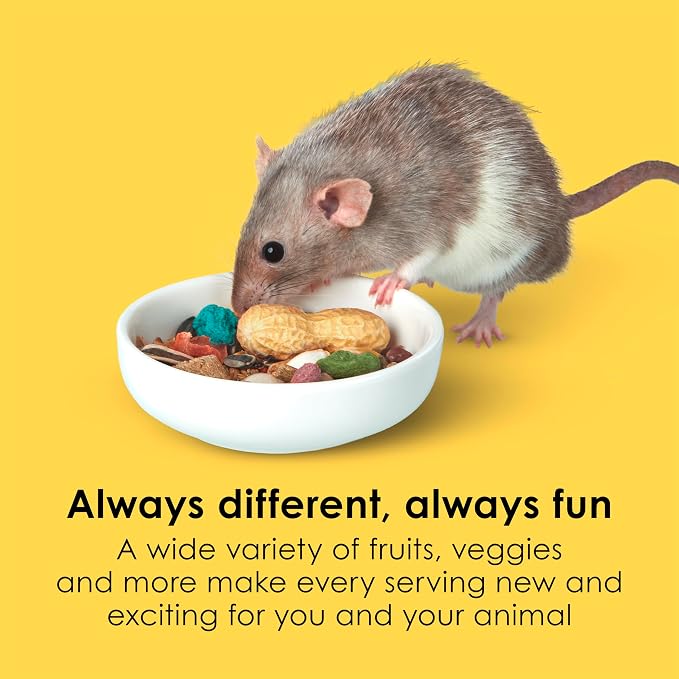Kaytee Fiesta Mouse & Rat Food, Nutritious Blend, 4.5 Pounds | More mealtime fun. Mouse food blend. Fruits, veggies, rat enrichment