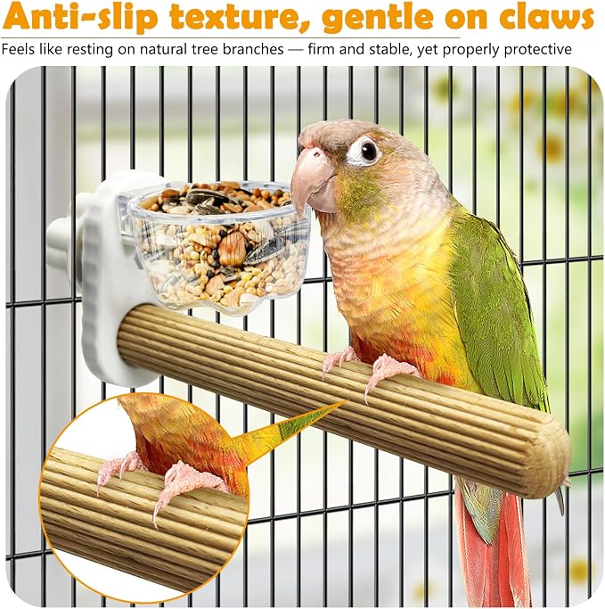 Kathson 3Pcs Bird Perch Feeding Cup Natural Wood Perches with Removable Bird Feeder for Cage Parrot Stand for Parakeets, Budgies, Cockatiels,Parrots, Birds Chewing Stick (White)