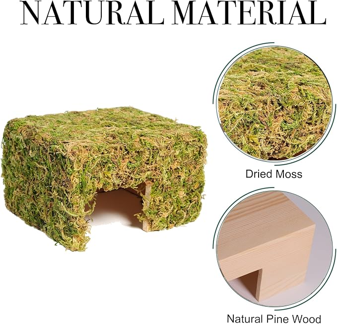 Hamster Hideout - Large, Natural Moss, Handcrafted for Syrian Hamsters, Rats & Guinea Pigs, Hermit Crab,Hedgehogs,Lizards & Other Reptiles（Square, Large）