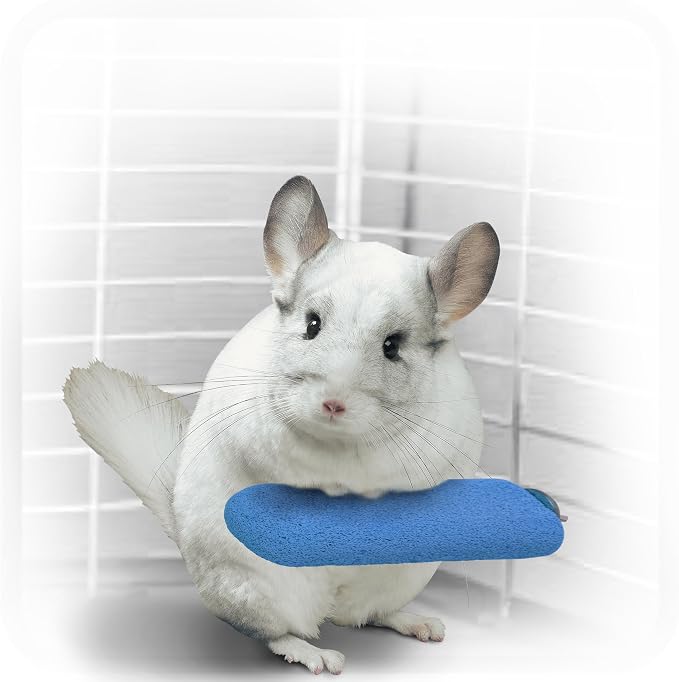 Kaytee Lava Ledge for Small Pet Wire Habitats | Active play. Pumice chinchilla cage accessories for jumping. Safe to chew, attaches to wire homes, chinchilla toys