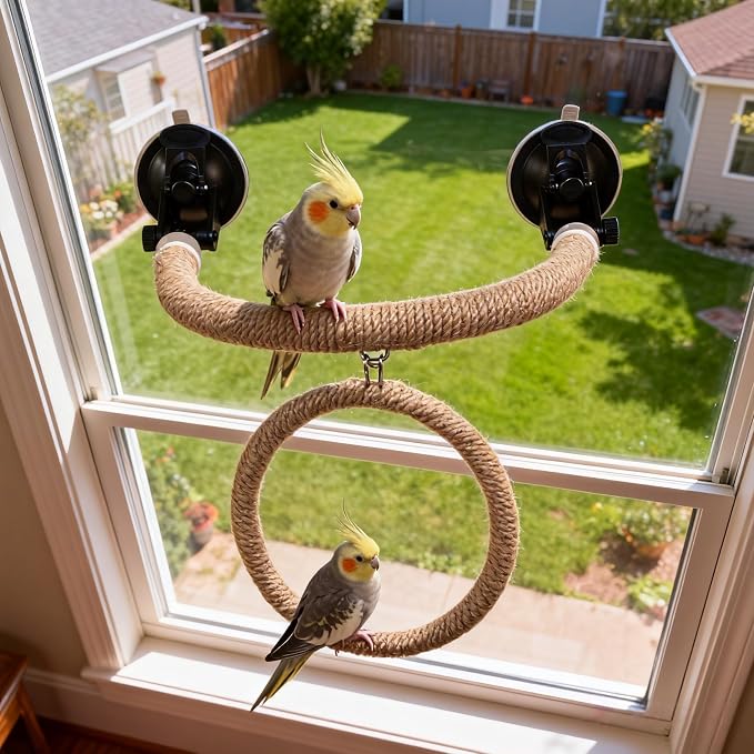 Natural Flax Bird Perch Window Stand, Strong Suction Cups Bird Window Perch | Movable Parrot Training Perch for Window Mirror Car Tiles | Universal for Budgie Cockatiel Conure (U-Shaped Perch + Swing)